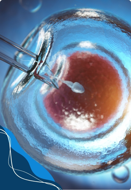 in vitro z komórką dawczyni
